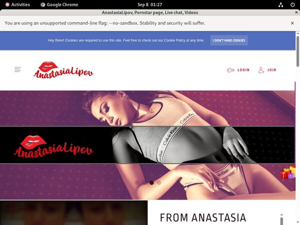 Anastasialipov.modelcentro.com Pago