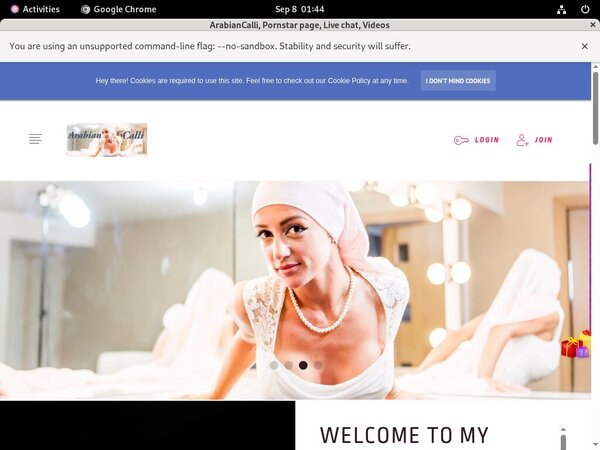 ArabianCalli Paswords