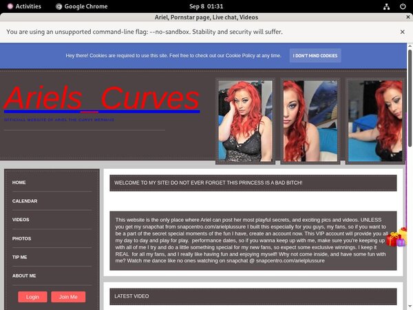 Ariel Password Hack Ariel Password Hack