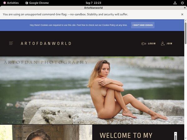 Artofdanworld.com Home Page