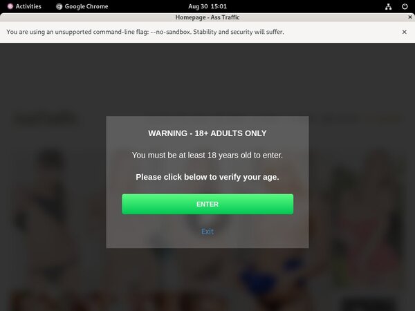 Asstraffic Epochstats