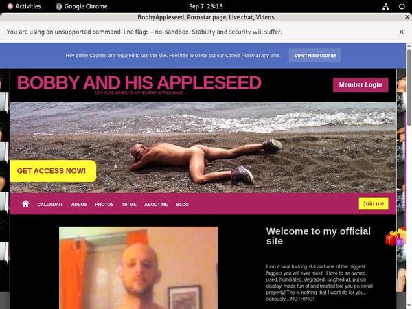 Bobbyappleseed.modelcentro.com Stars