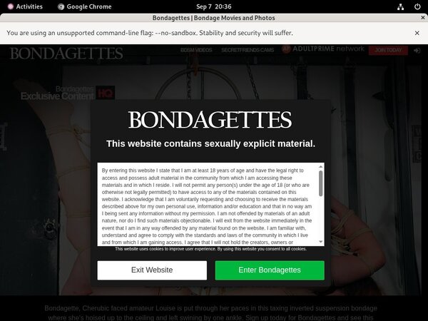 Bondagettes Free Password