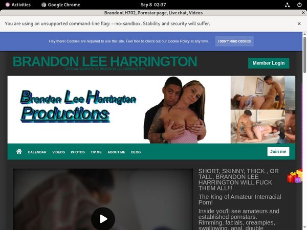 Brandonlh.com Web Site
