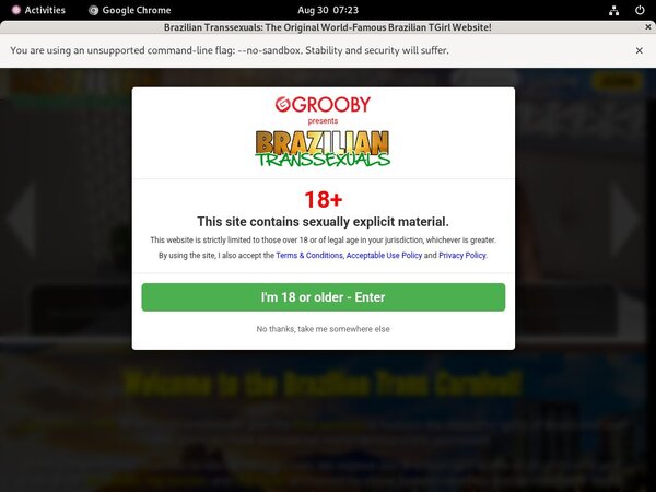 Braziliantranssexuals Save Money