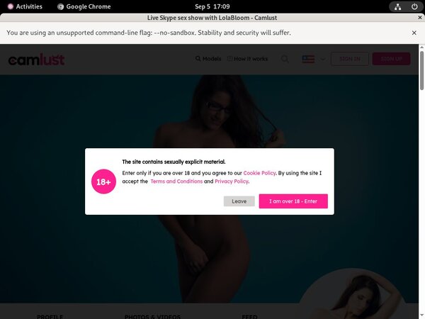 Camlust.com Porn Accounts