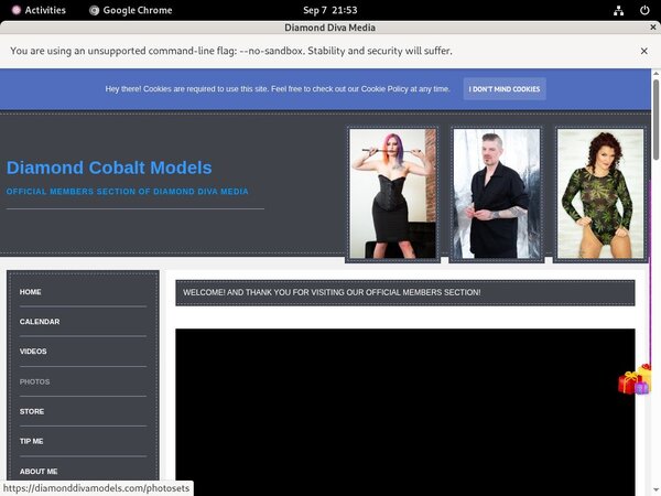 Diamonddivamodels.com Trial Discount Offer