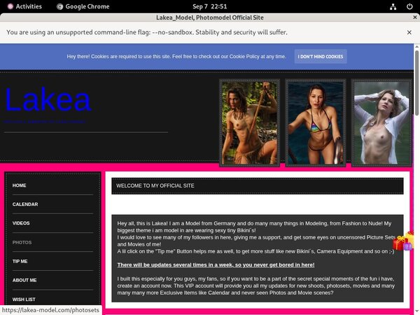 Discount On Lakea-model Discount On Lakea-model