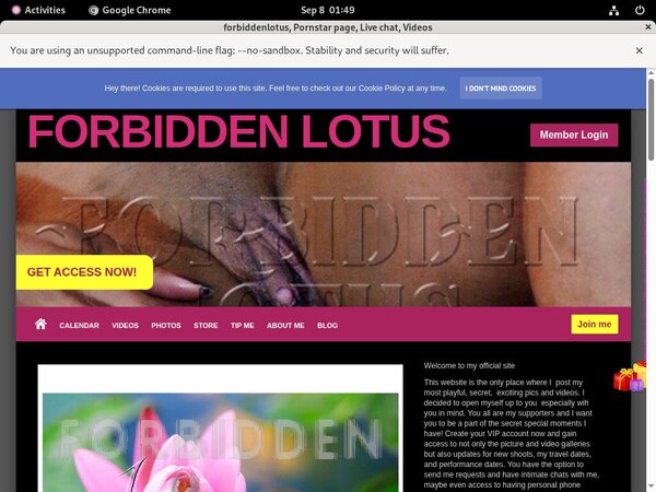Forbiddenlotus Gay Porn