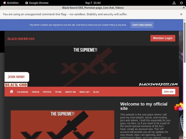 Free Blackswordxxx Logins