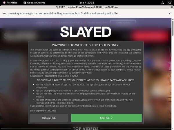Free Passwords For Slayed.com