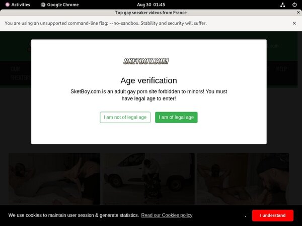 Free Sketboy.com Login