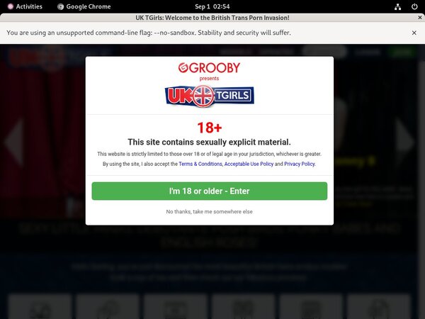 Free UK TGirls Passwords 2018