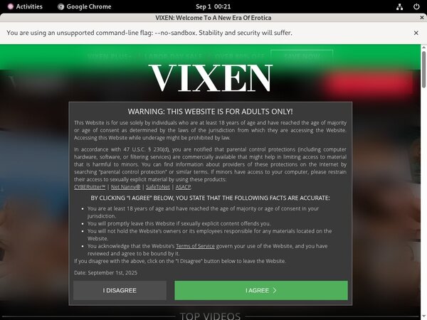 Free Vixen Password