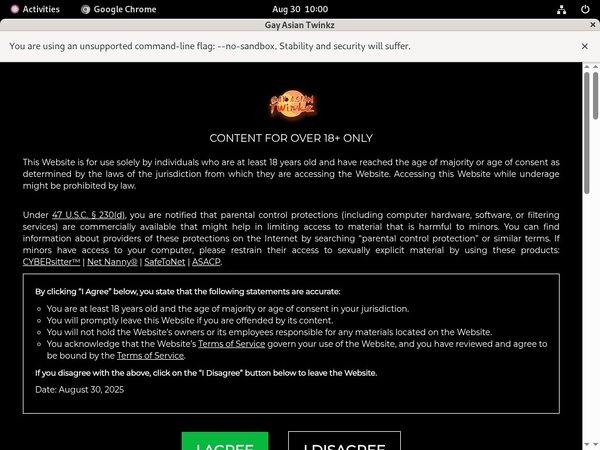 Gayasiantwinkz.com Review Site