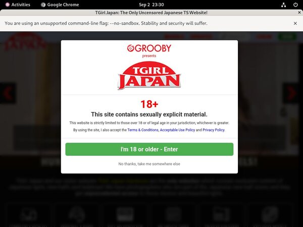 Get A Free TGirl Japan Password