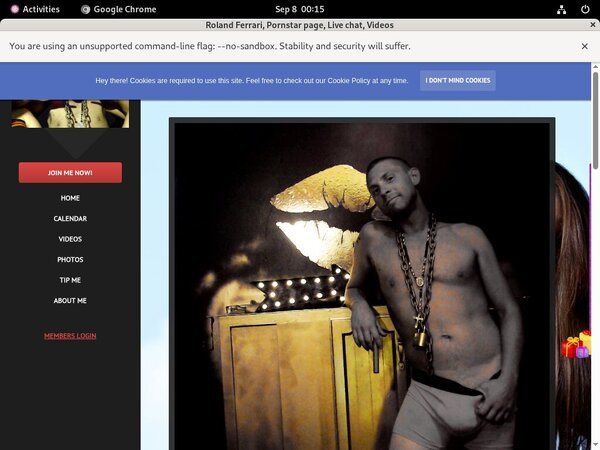 Get Inside Rolandferrari.modelcentro.com