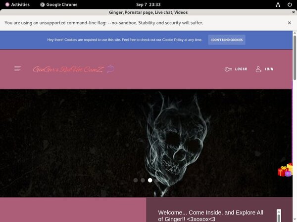 Ginger Offer Paypal Ginger Offer Paypal