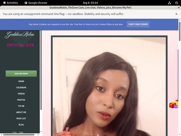 Goddessrobin Discount Price