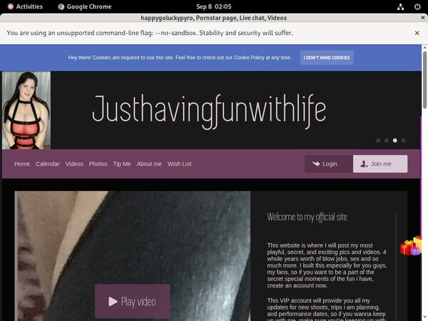 Happygoluckypyro.com Password Site