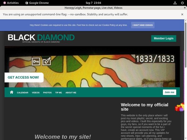 Honeyy Leigh Pro Biller Page