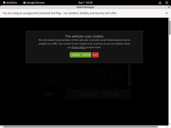 Hotel Hostages Free Movies
