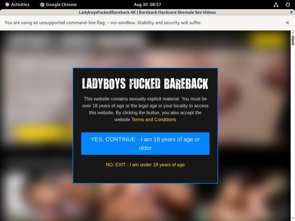 Ladyboysfuckedbareback.com Paypal Epoch