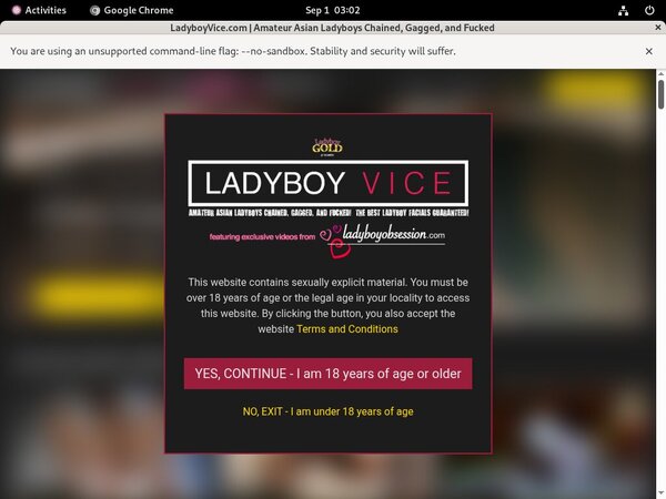Ladyboyvice.com Verotel Discount