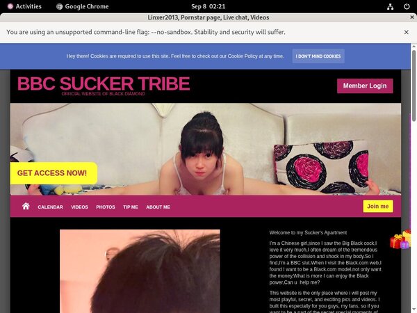 Linxer2013 Site Rip Url