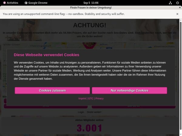 MarieSaint With Online Check