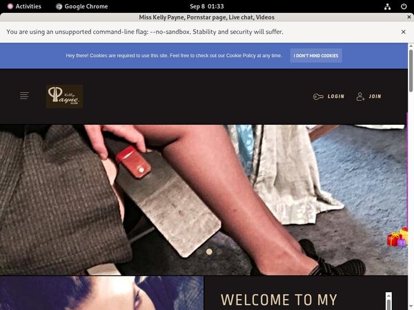 Misskellypayne.modelcentro.com Account Information