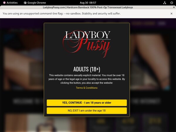 New Ladyboypussy Discount Promo