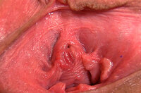 Paypal Pussy My Gape s4