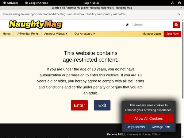 Pornhub Naughty Mag