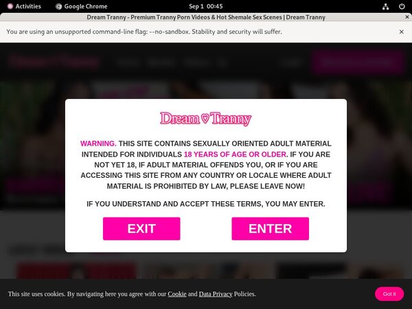 Real Dreamtranny.com Accounts