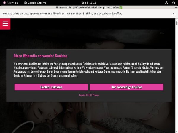 Sina Valentini Site Rip New