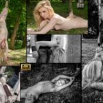 Subspace Land Renew Membership