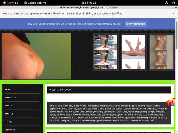 Try Violetandstevmodelcentro.com Free