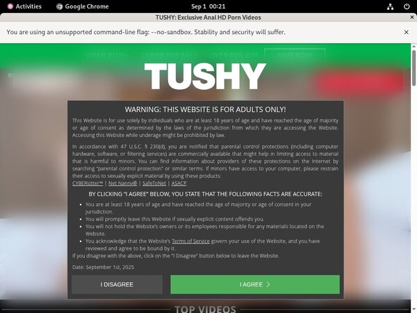 Tushy.com Porn Stars