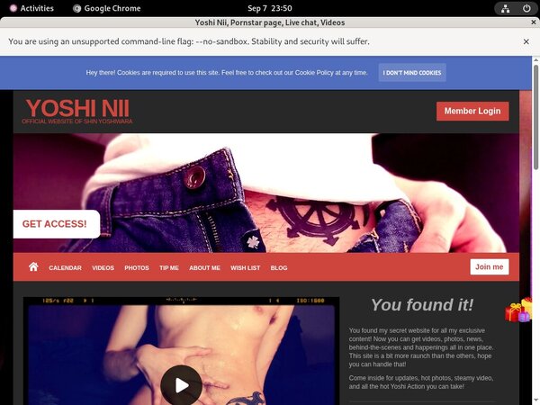 Yoshiwaraniisan.modelcentro.com Discount Passes