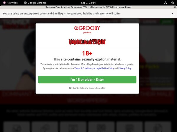 Youporn Transexdomination