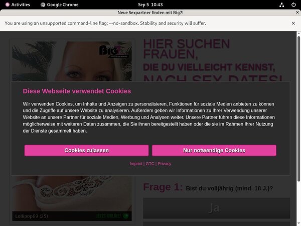 Your Secret Dream Paysite Passwords