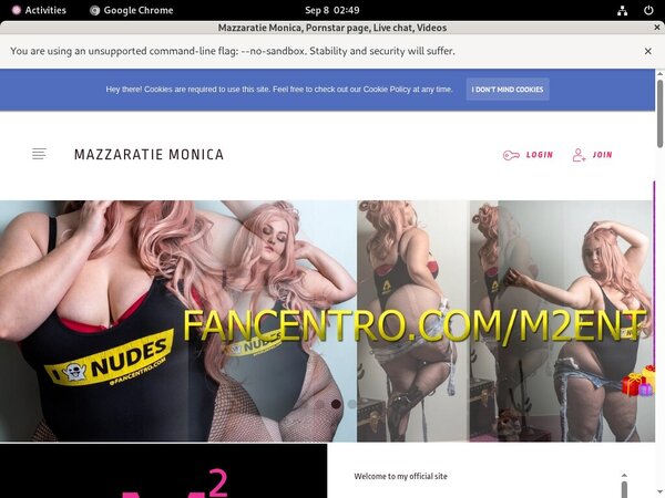 Monica Mazzaratie Paypal