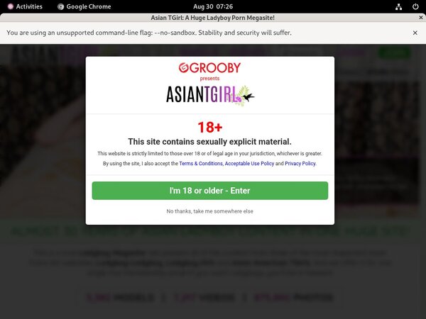 Ladyboy Ladyboy Limited Offer
