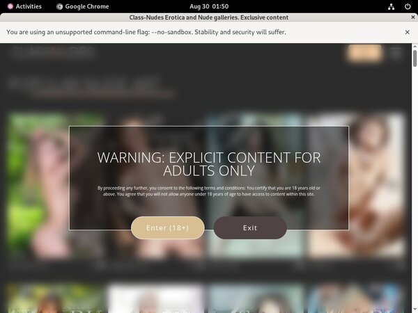 Class Nudes Porn Pictures