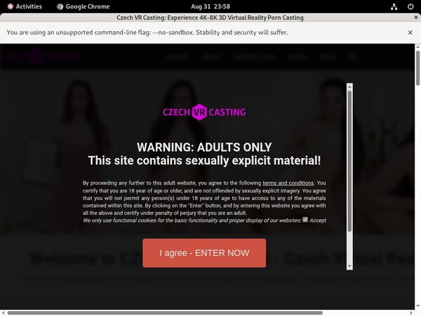 Czech VR Casting Signup