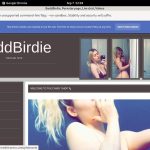 Baddbirdie.modelcentro.com Password Hack