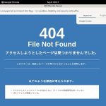 Discount Codes LadyLaPerle