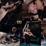 Subspace Land Video Hd